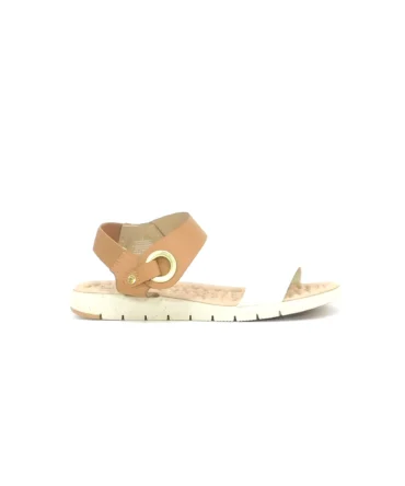 Modare Camel